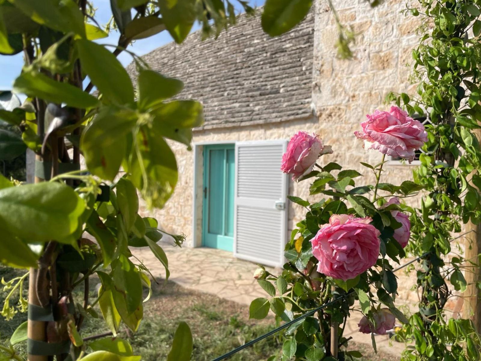 Giardino Dei Trulli Cummerse Faccia di Trippa di Monte Extérieur photo